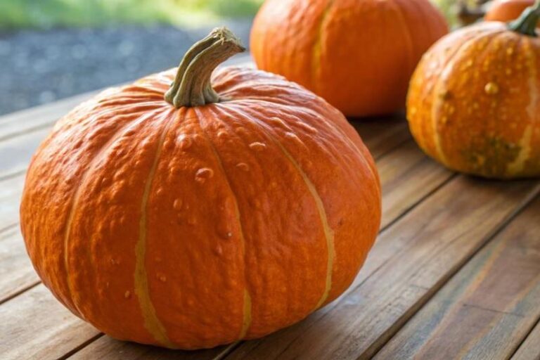 Jak piec dynie hokkaido – idealna temperatura dla smaku i aromatu