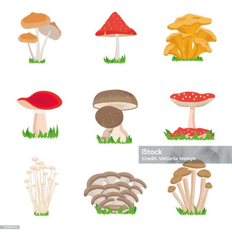 Smak i tekstura grzybów