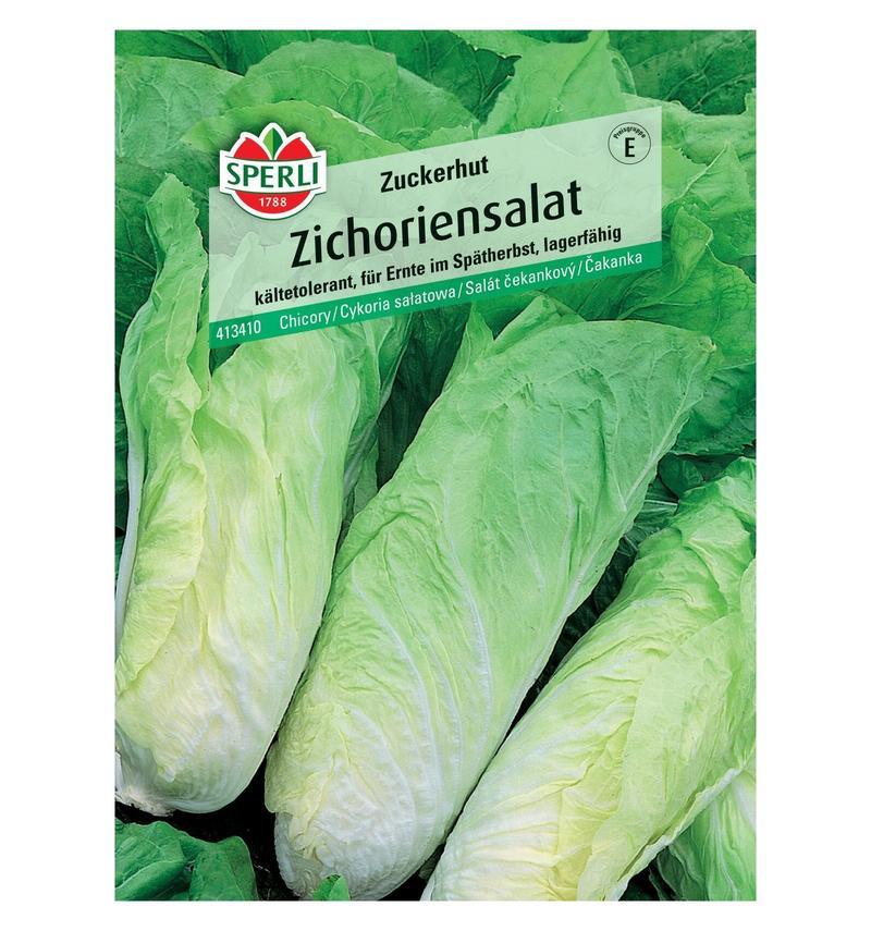 Właściwości zdrowotne cykorii