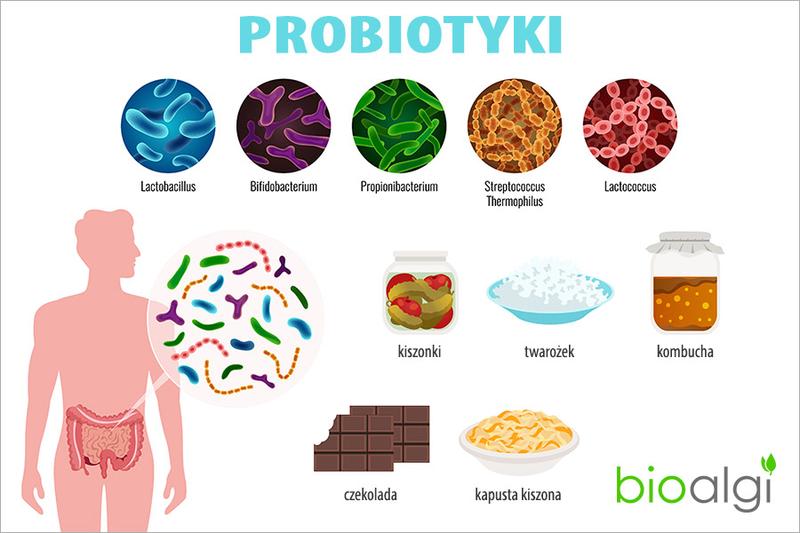Naturalne alternatywy: czym zastąpić antybiotyk w codziennej diecie