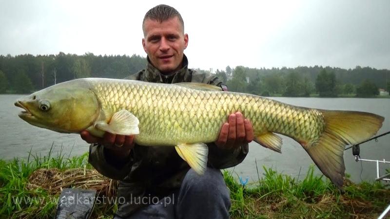 Czas i temperatura pieczenia