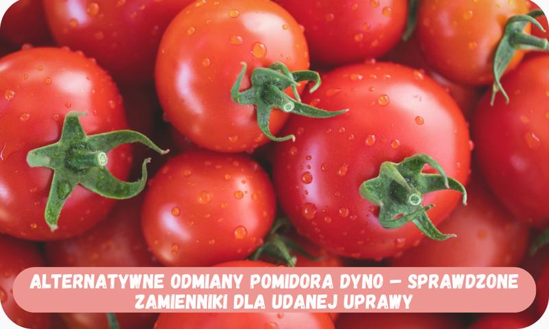 Zdrowe alternatywy w kuchni